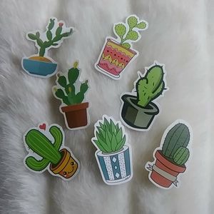 🌵Cactus Water bottle snickers🌵